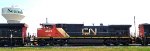 BCOL 4641